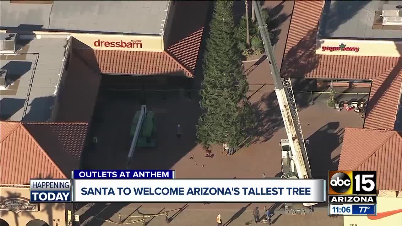 Giant Christmas tree arrives in Anthem