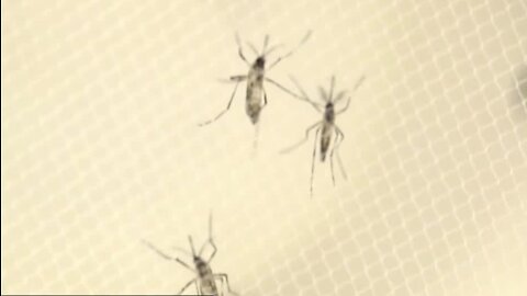 Deadly Virus: Does Wisconsin Need To Worry About EEE?
