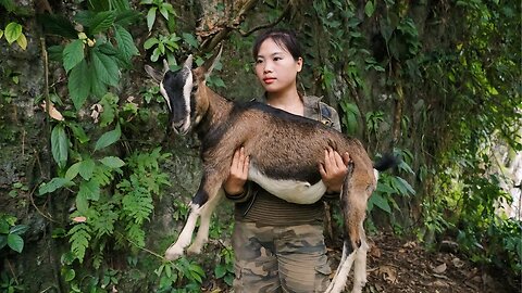 rescue wild goats from deep pits, set traps for wild boars, survival alone