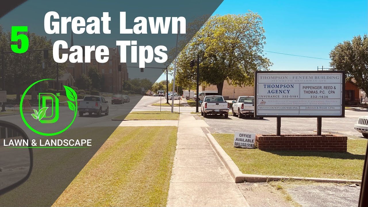 5 Of The Best Lawn Care Tips For Starters || Ds Lawn And Landscape