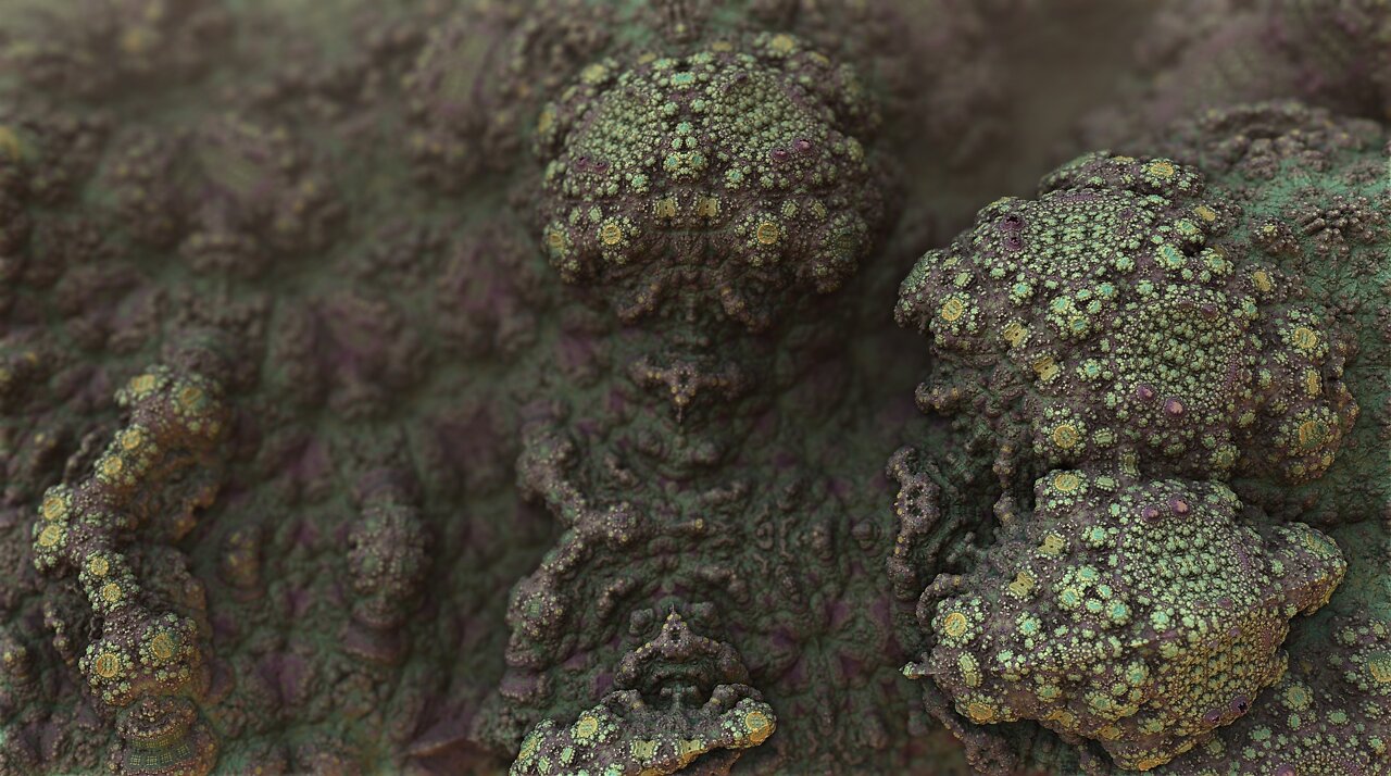 DAVID NINO RODRIGUEZ: SHEMANE NUGENT - "Your House Could Kill You"