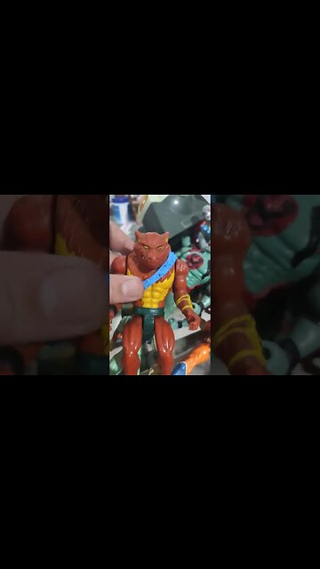 Fell the Magic hear the roar