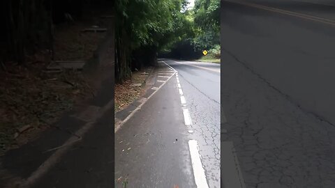 TUNEL DE BAMBU EM MORUNGABA SÃO PAULO COM ILUMINAÇÃO NAS LATERAIS DA RODOVIA