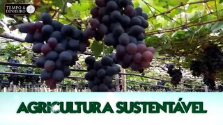 Agricultura Sustentável - com Frederico Olivi