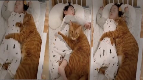 Cute baby And Cat sleep time shot video