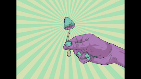 Microdosing Psychedelics For 30 Days