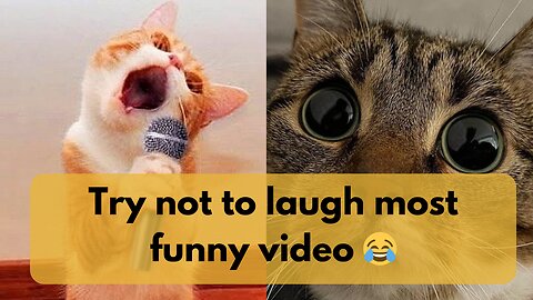 Try not to laugh Funny video// compilation