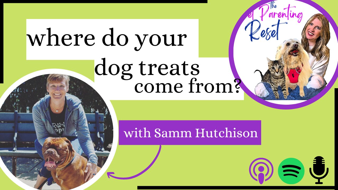 Where Do Your Dog Treats Come From?