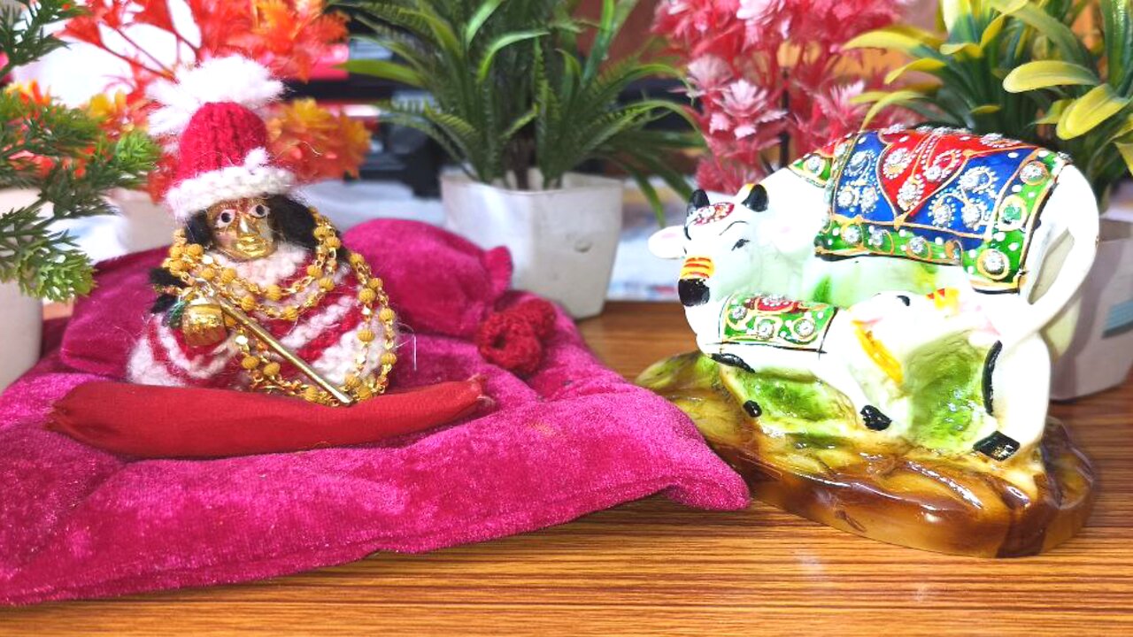 Laddu gopal blog | shri krishna blog | my first blog