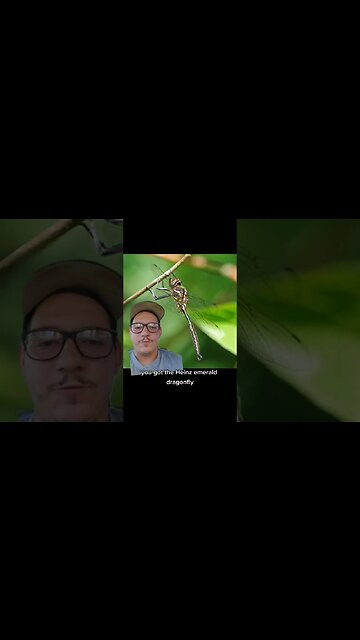 Michigan doesn't have any endemic species