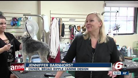 Pet groomer forced out of Broad Ripple due to zoning