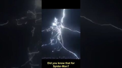 Did You Know in Spiderman No Way Home?