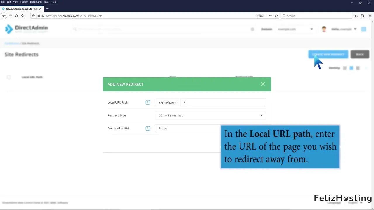 How to redirect your website in DirectAdmin FelizHosting