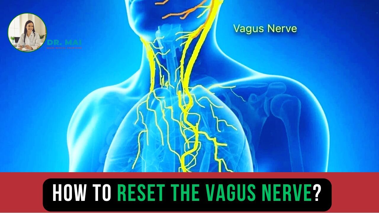 How to reset the vagus nerve? | DR. MAI