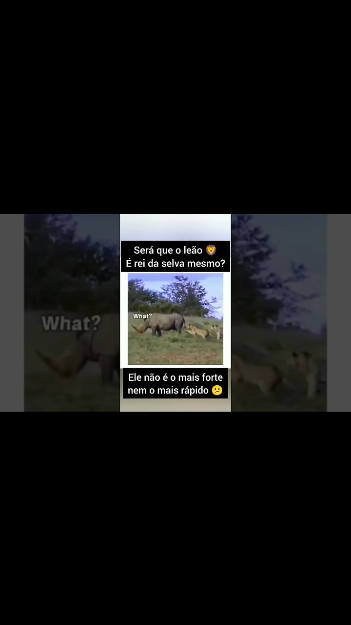 O poder de um bom marketing e branding