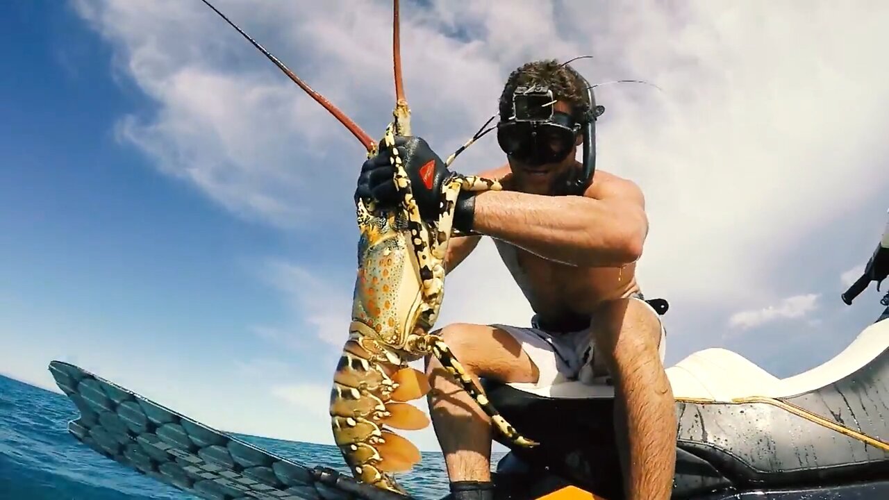 MONSTER CRAYFISH CATCH AND COOK. PERFECT SUMMER DAY.