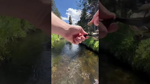 Deschutes river Fishing