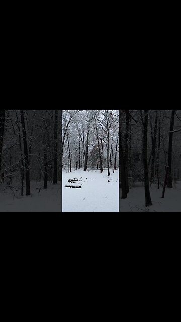 #snow #arkansas #2023 #sunflower #postmalone