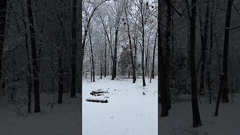 #snow #arkansas #2023 #sunflower #postmalone
