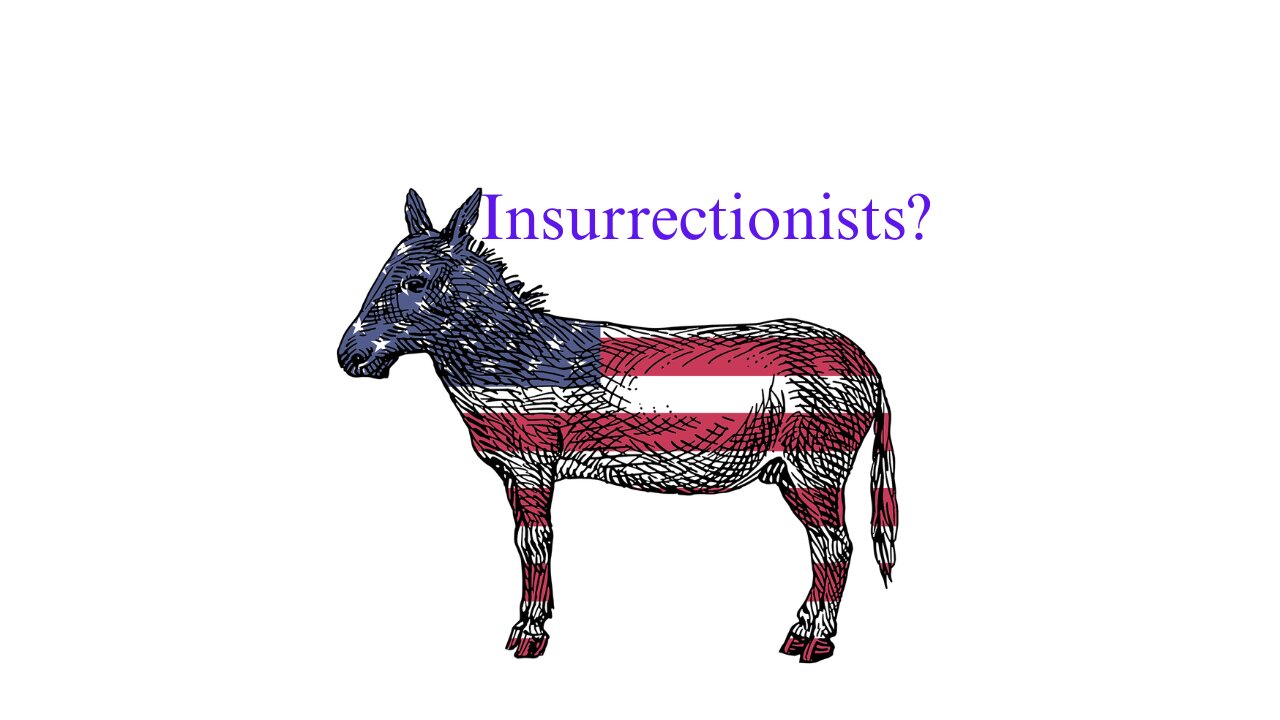 Democrats: Political Party or Insurrectionists, Part I: Congress