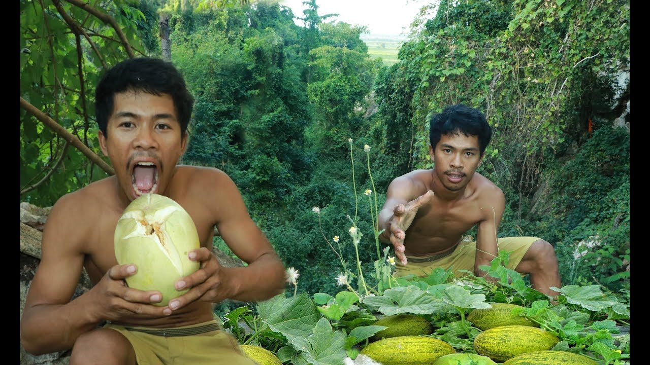 Adventure in forest - Find Fruit In The Jungle - show Eating Rambutan delicious