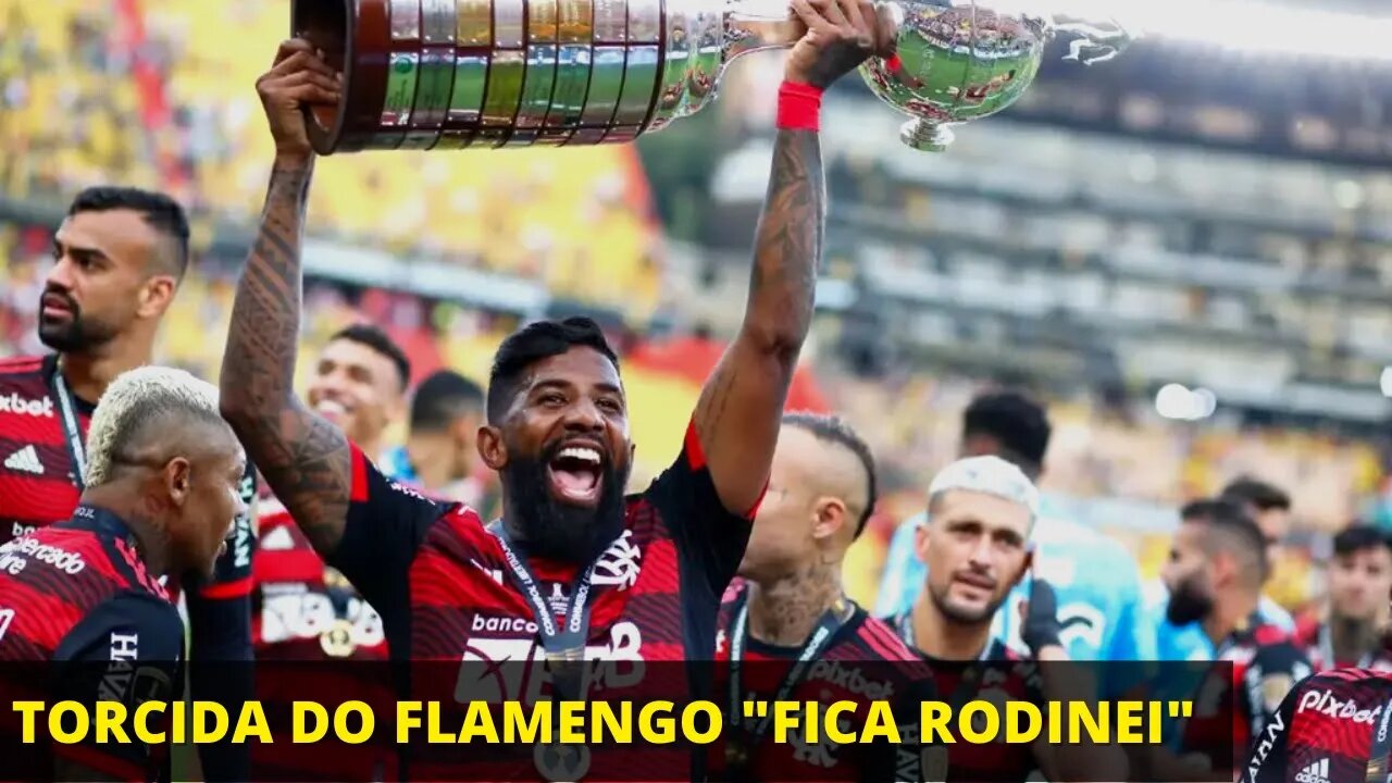 TORCIDA DO FLAMENGO GRITA "FICA RODINEI" #Shorts