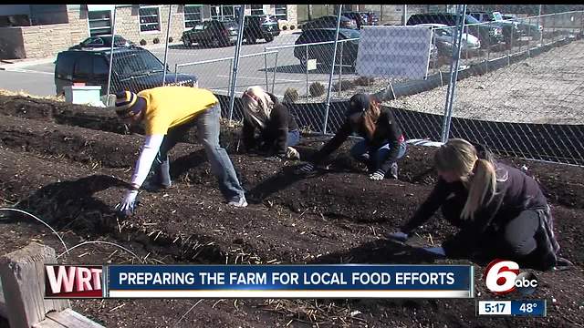 Workers preparing farm that grows food for an IPS afterschool program