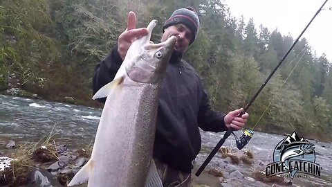 Early Chrome! | Winter Steelhead Fishing | Gone Catchin' Guide Service
