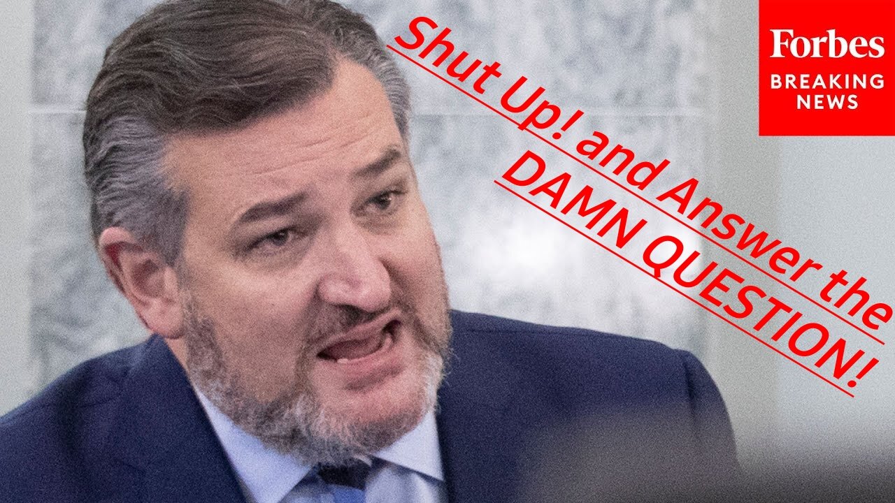 Are You Going To Answer The Questions_'_ Cruz's Best Witness Grillings Of Past Year Rewind