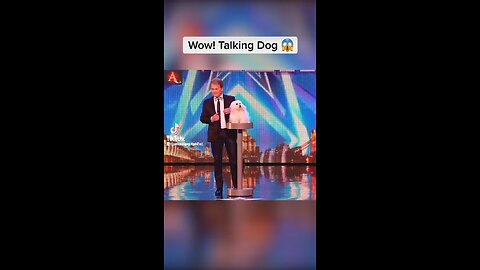 The funny beautiful talking Dog