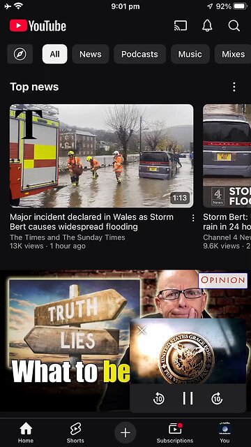 YT bees topics 23/11/2024