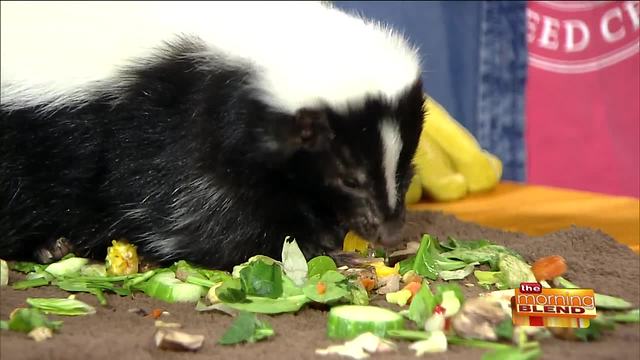 A Valentine's Day Wildlife Meet and Greet