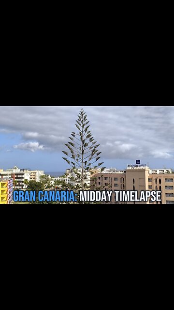 Gran Canaria Timelapse: Norfolk Pine and Ocean Harmony! 🌊🌲