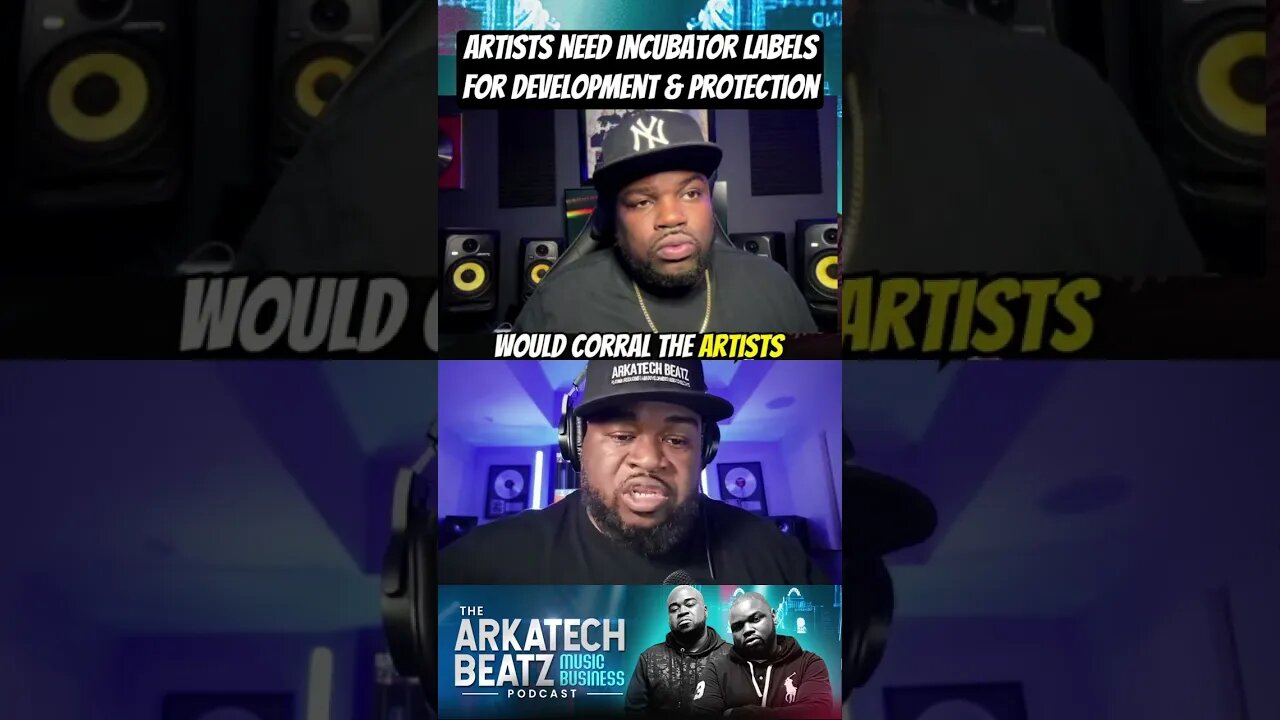 Artists Need Incubator Labels For Development & Protection