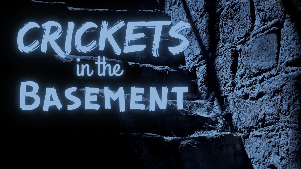 Crickets in the Basement | 15 Minutes of Twilight | Ambient Sound | What Else Is There?