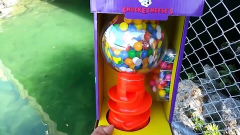 WORLD'S FIRST Gumball Machine AQUARIUM!