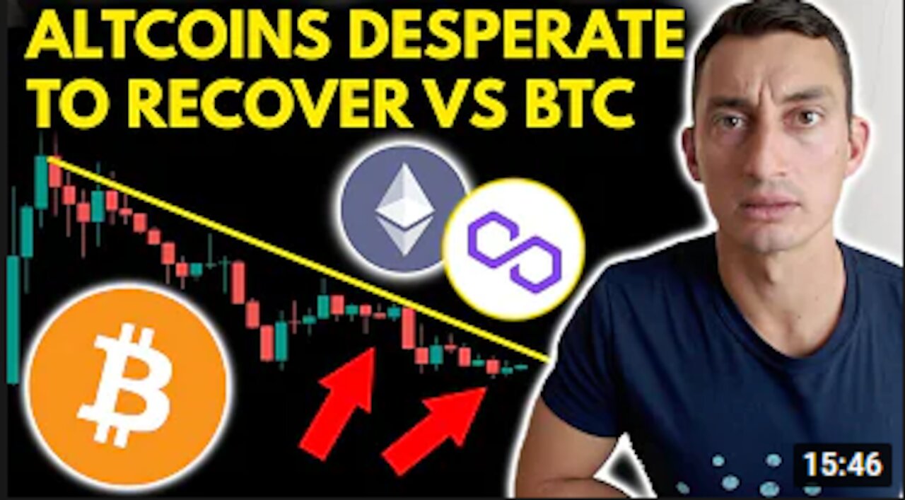 Altcoins ATTEMPT to RECOVER in BITCOIN Bull Market | Crypto Price & News