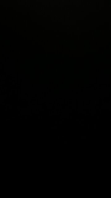 Snap shots and sound bites