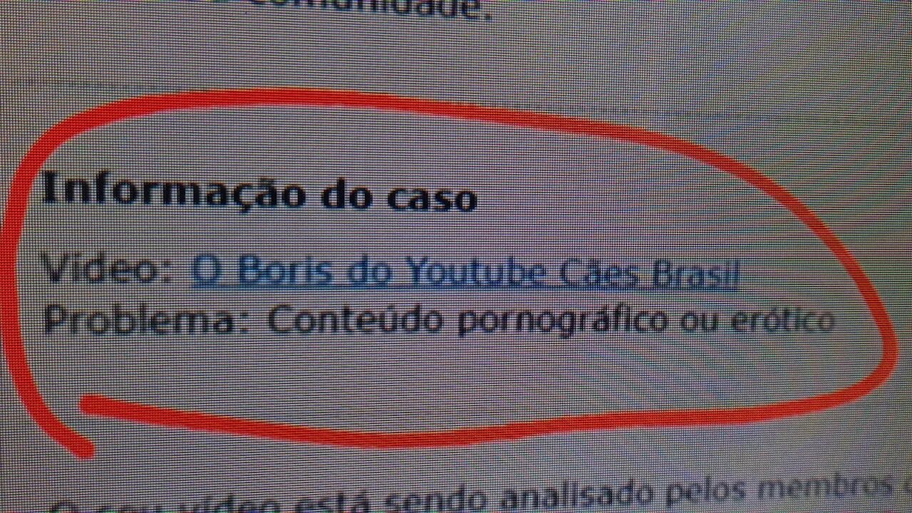 Bora falar hoje do Boris kkkk 🤣