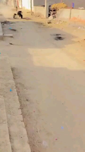 Animals should be treated well