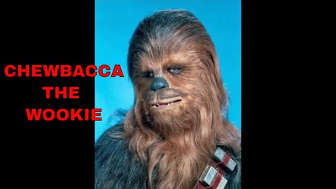 Chewbacca - Star Wars Character Analysis: ISTP CP E6