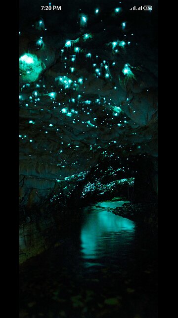 Don't Touch My Sister👿🔥 Boy's Attitude Revenge