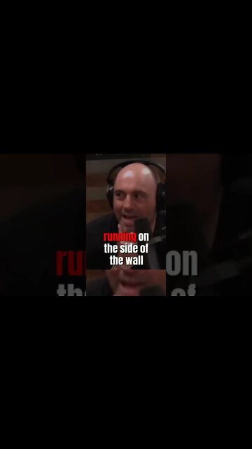 LEOPARD chasing GUY : JOE ROGAN 😱