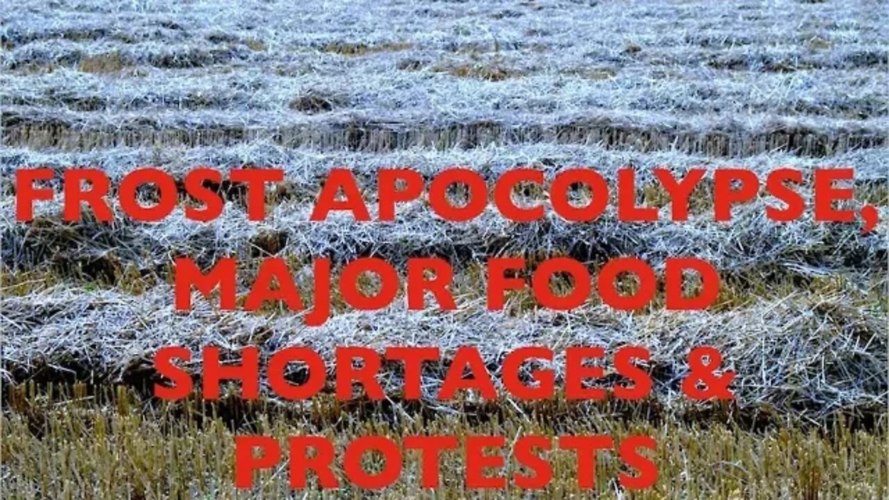 New Social Credit Score, Frost Apocolypse, Major Food Shortages, Protests Overseas, David DuByne