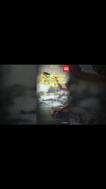 Interesting facts about pear fruit.#shorts