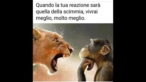 Alba Latella Nuove narrazioni #evitareobbligovaccinale