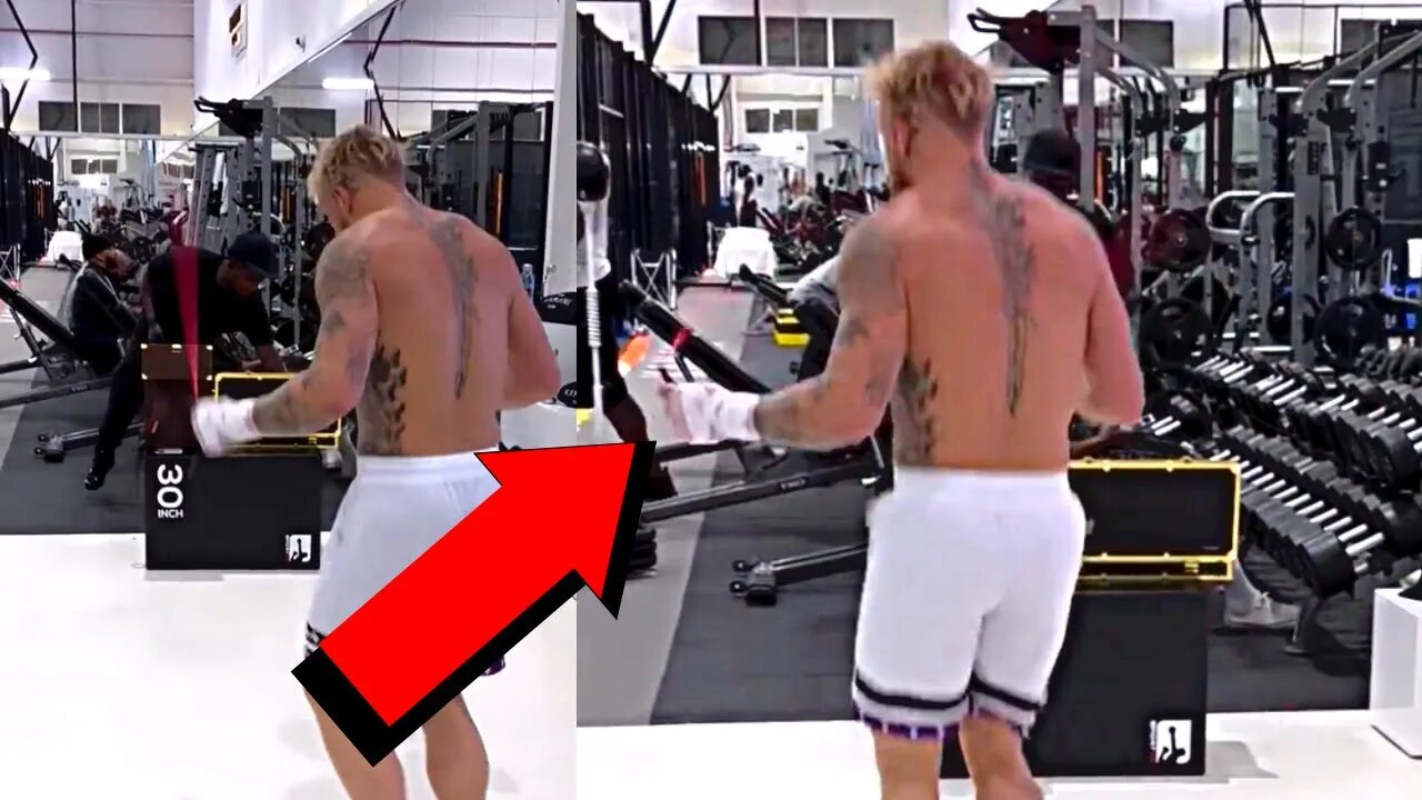 NEW INSANE JAKE PAUL TRAINING CAMP FOOTAGE