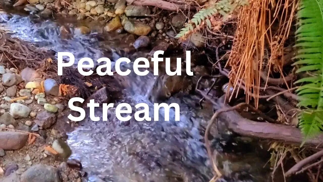 Gentle Stream Sounds are the best for Relaxation, Sleep, insomnia