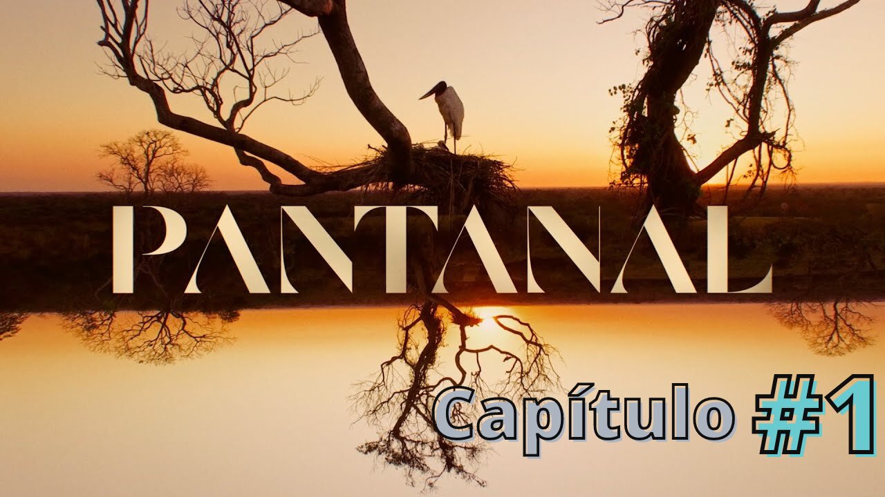 PANTANAL (NOVELA) - 1º CAPÍTULO