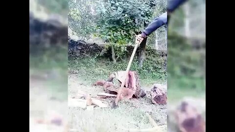 لکڑیاں بنی جا رہی ہیں برف کا توڑ صرف اگ